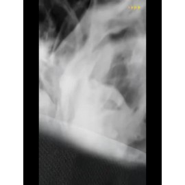 Men's Custom Gym T-Shirts Personalized with Your Logo/Photo/Text - Quick-Dry Breathable Fabric, Custom Fit for Team Uniforms, Fitness Training & Corporate Events - Upload Your Own Design for Branding & Gifts - Machine Washable Athletic Shirts - Round Neck Geometric Pattern for Men - Ideal for Workouts & Team Wear - Soft & Comfortable Custom Short Sleeve T-Shirt, Customised T Shirt